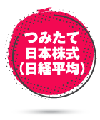 つみたて日本株式（日経平均）