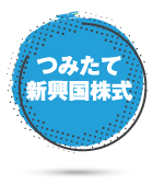 つみたて新興国株式