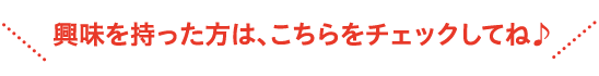 興味を持った方は、こちらをチェックしてね♪