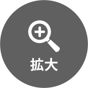 拡大ボタン