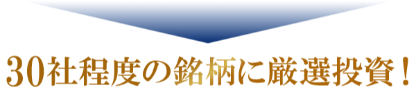 30社程度の銘柄に厳選投資!