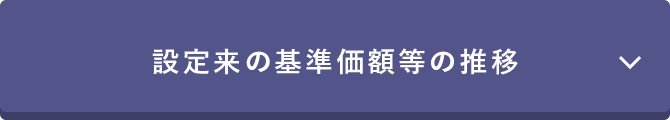 設定来の基準価額等の推移